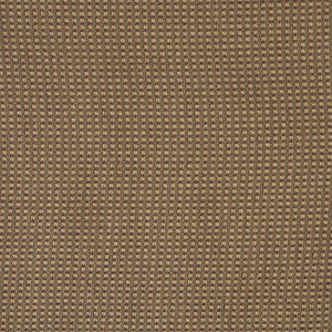 9743 Canyon by Charlotte Fabric