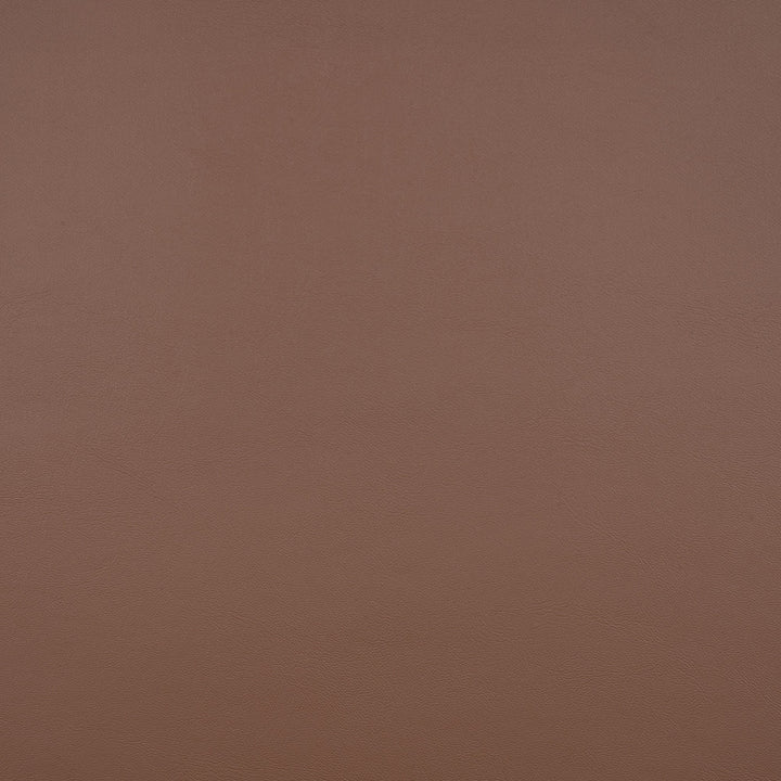 10200-0013 Capriccio Mink by Sunbrella Fabric Sunbrella Horizon Capriccio Marine Upholstery Sunbrella® Engineered Leather USA or Imported 5-Year, 3-Year Microbial Pink Staining Horizontal: and Vertical: 54 in. - Fabric Carolina -
