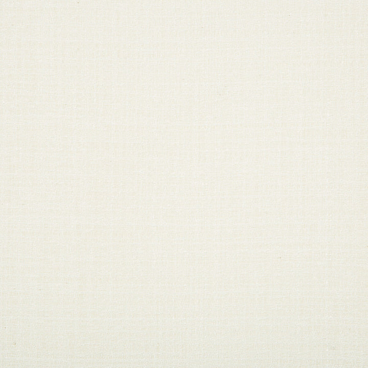 9789-101 by Kravet Basics Fabric POLYESTER - 100% Turkey Horizontal: and Vertical: 60 - Fabric Carolina -