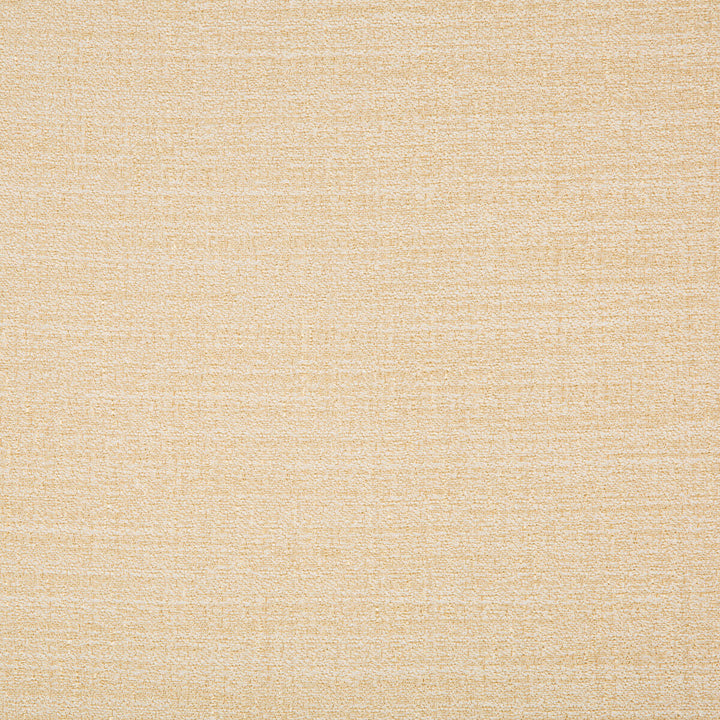 9789-116 by Kravet Basics Fabric POLYESTER - 100% Turkey Horizontal: and Vertical: 60 - Fabric Carolina -