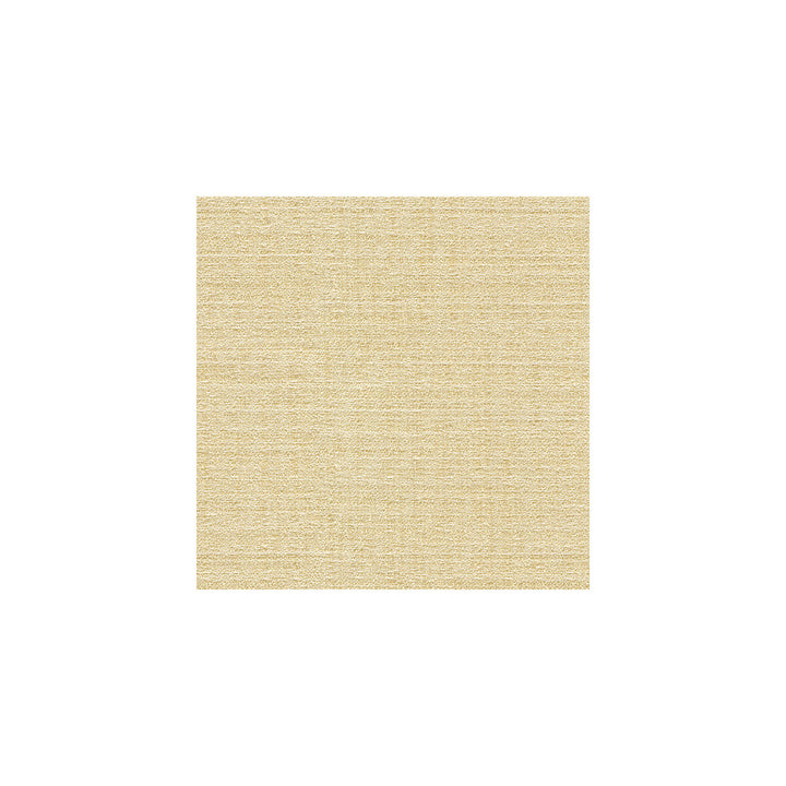 9789-1 by Kravet Basics Fabric - POLYESTER - 100% Turkey - Horizontal: - and Vertical: - 60 - Fabric Carolina -