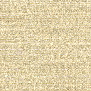 Kravet Basics 9789-1 by Kravet Basics Fabric
