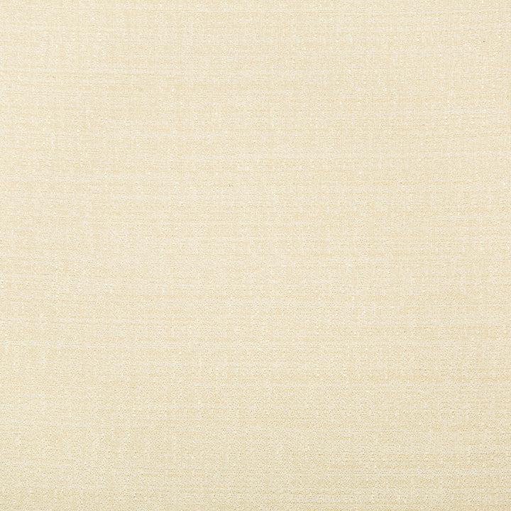 9789-1 by Kravet Basics Fabric POLYESTER - 100% Turkey Horizontal: and Vertical: 60 - Fabric Carolina -