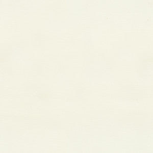 9798-1 by Kravet Basics Fabric