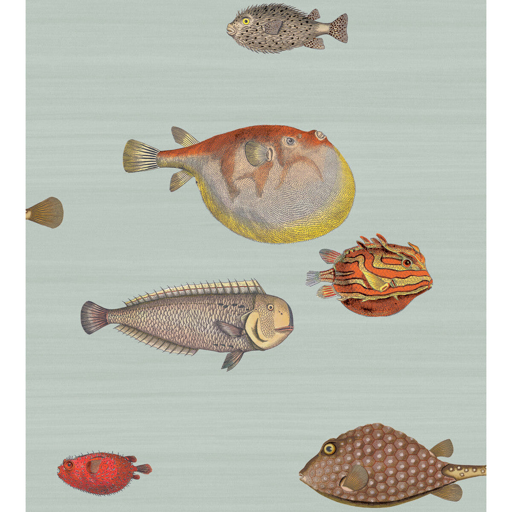 Acquario Pal Bl & Mlt by Cole & Son Wallcovering COLE & SON FORNASETTI PAPER - 100% United Kingdom - Horizontal: - and Vertical: 29.94 27 - Fabric Carolina -
