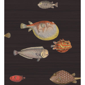 Acquario Black & Mult by Cole & Son Wallcovering