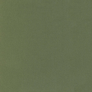 98462 Loden by Greenhouse Fabric