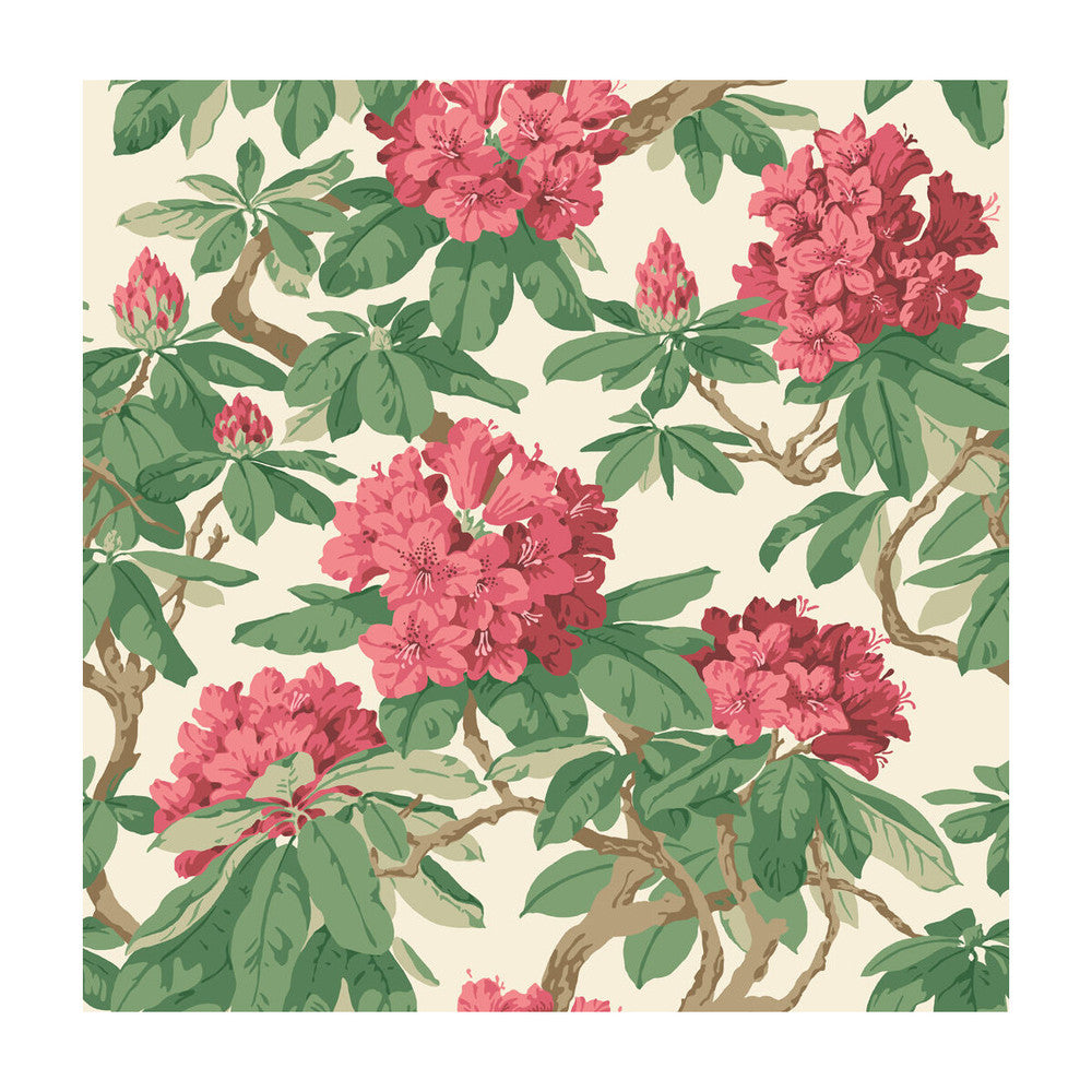 Bourlie Carmine by Cole & Son Wallcovering Cole & Son Wallcovering Bourlie CarmineWallcovering PAPER - 100% United Kingdom </p><p>Repeat: H: , V: 20.5 20.5 - Fabric Carolina -