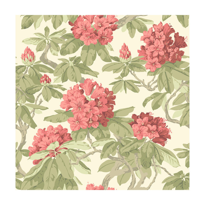 Bourlie Coral by Cole & Son Wallcovering PAPER - 100% United Kingdom Horizontal: and Vertical: 20.5 20.5 - Fabric Carolina -