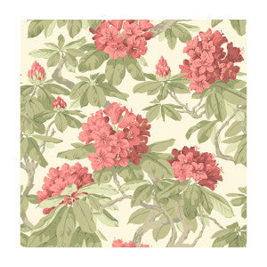 Bourlie Coral by Cole & Son Wallcovering
