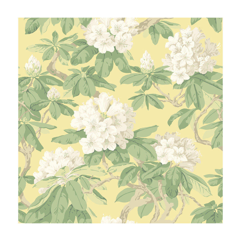 Bourlie Pale Lemon by Cole & Son Wallcovering PAPER - 100% United Kingdom Horizontal: and Vertical: 20.5 20.5 - Fabric Carolina -