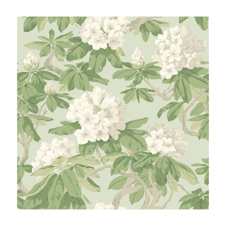 Bourlie Duck Egg by Cole & Son Wallcovering - PAPER - 100% United Kingdom - Horizontal: - and Vertical: 20.5 20.5 - Fabric Carolina -