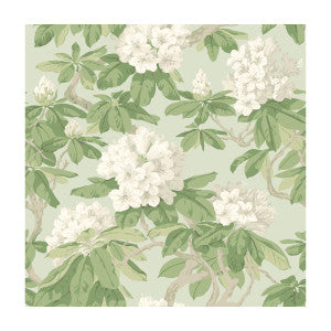 Bourlie Duck Egg by Cole & Son Wallcovering