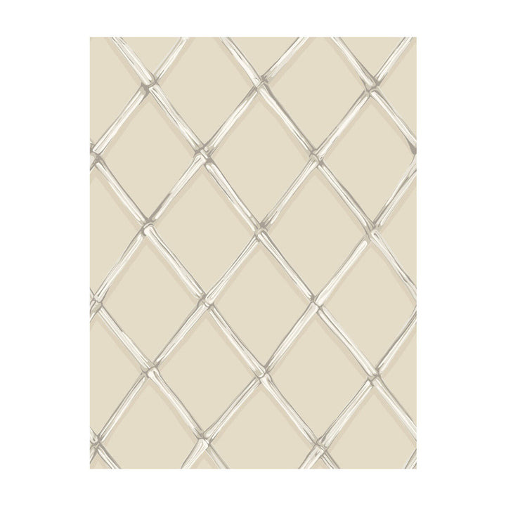 Bagatelle Stone by Cole & Son Wallcovering - PAPER - 100% United Kingdom - Horizontal: - and Vertical: 27.5 21 - Fabric Carolina -