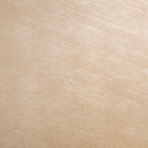 Pioneer 09 by Europatex Fabric