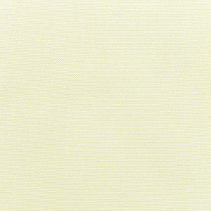5404 77 Rain Canvas Natural by Sunbrella Fabric
