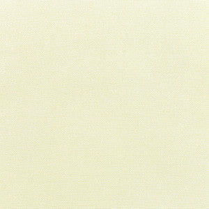 5404 77 Rain Canvas Natural by Sunbrella Fabric