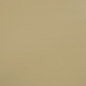 7655 Basic Beige by Sunbrella Fabric