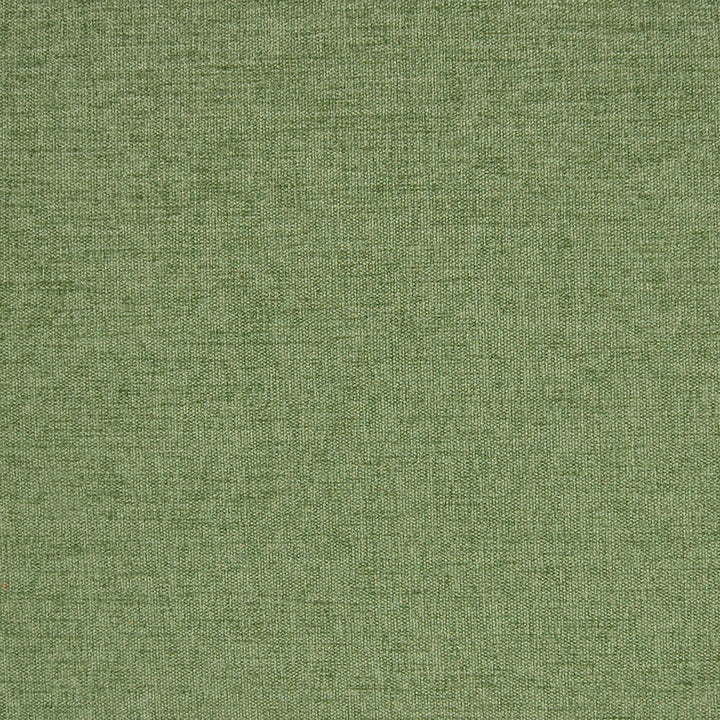 A2920 Pine by Greenhouse Fabric 100% Polyester India 102,000 double rubs </p><p>Repeat: None 54" - Fabric Carolina -