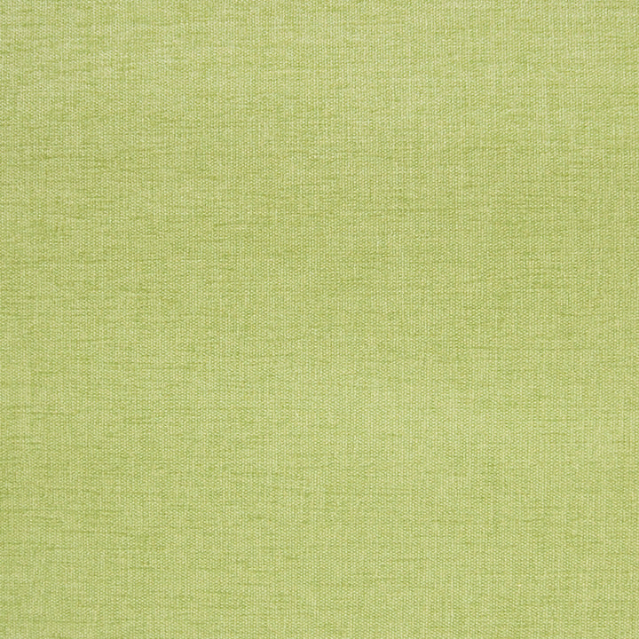 A2922 Grass by Greenhouse Fabric 100% Polyester India 102,000 double rubs </p><p>Repeat: None 54" - Fabric Carolina -