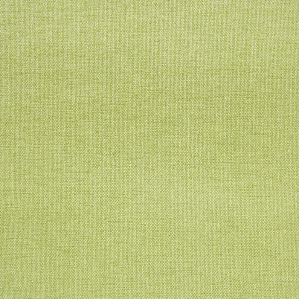 A2922 Grass by Greenhouse Fabric 100% Polyester India 102,000 double rubs </p><p>Repeat: None 54" - Fabric Carolina -