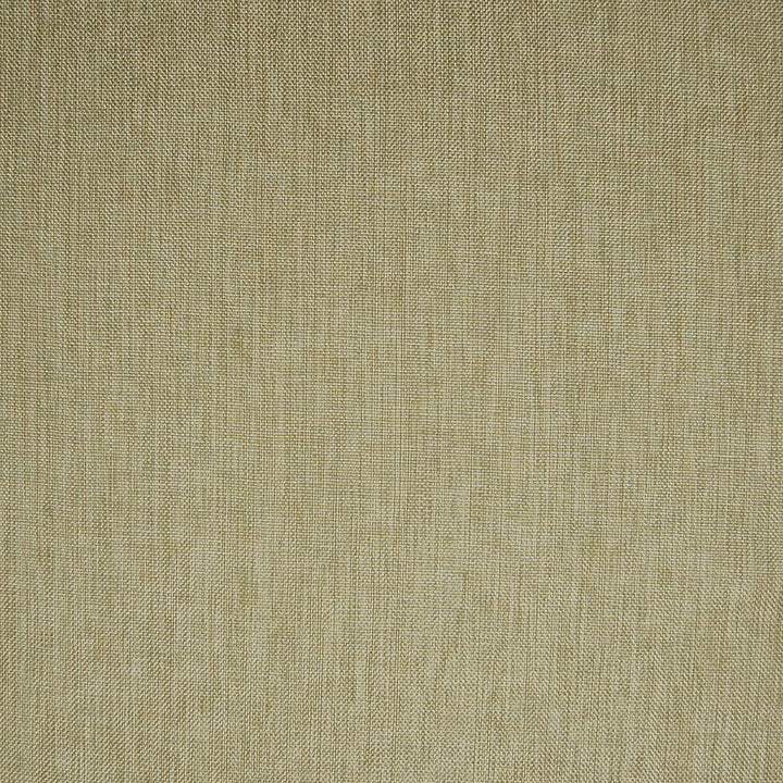 A6823 Alabaster by Greenhouse Designer Fabric 63% Polyester, 35% Viscose, 2% Polyamide China 37,000 double rubs </p><p>Repeat: None 55" - Swanky Fabrics -