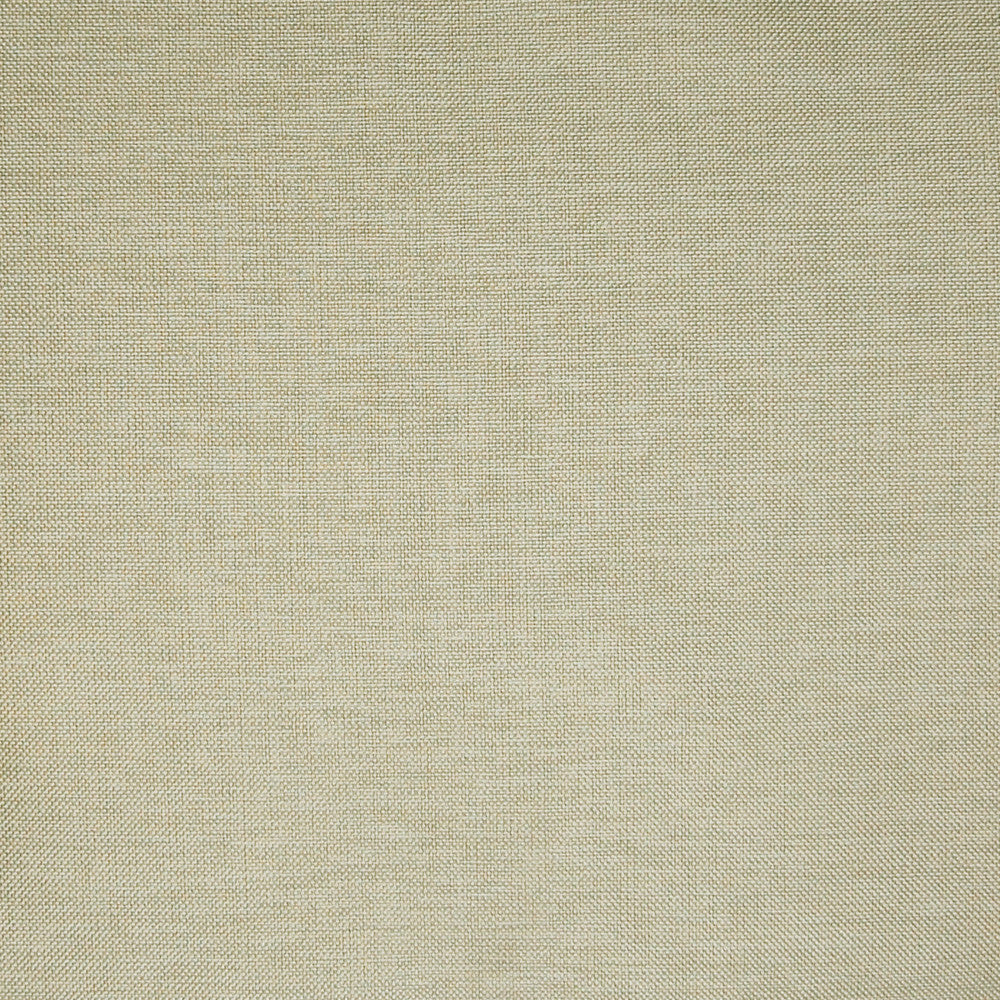 A7598 Pearl by Greenhouse Fabric 63% Polyester, 35% Viscose, 2% Polyamide China 37,000 double rubs </p><p>Repeat: No Definite Repeat 55" - Fabric Carolina -