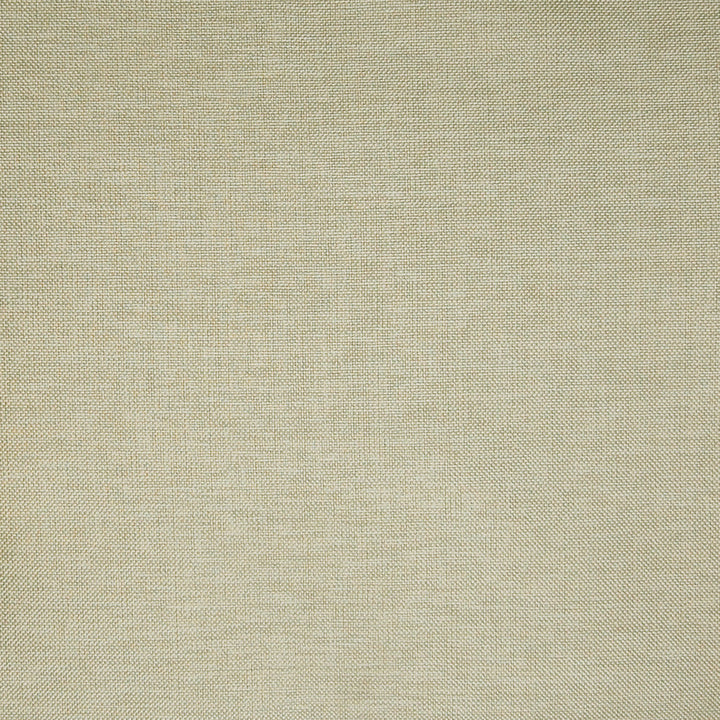 A7598 Pearl by Greenhouse Fabric 63% Polyester, 35% Viscose, 2% Polyamide China 37,000 double rubs </p><p>Repeat: No Definite Repeat 55" - Fabric Carolina -