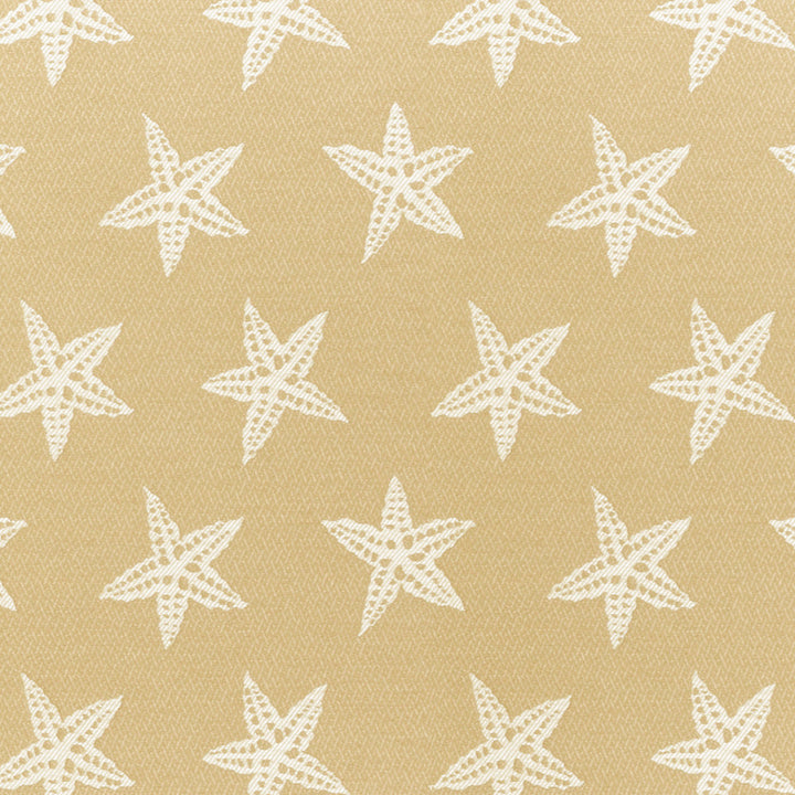 A8063 Sand by Greenhouse Fabric F06: Outdoor 57% Polypropylene, 43% Polyester 2,000 Light Hours Mexico 45,000 double rubs Water Repellent </p><p>Repeat: 9.5" H, 8" V 54" - Fabric Carolina -