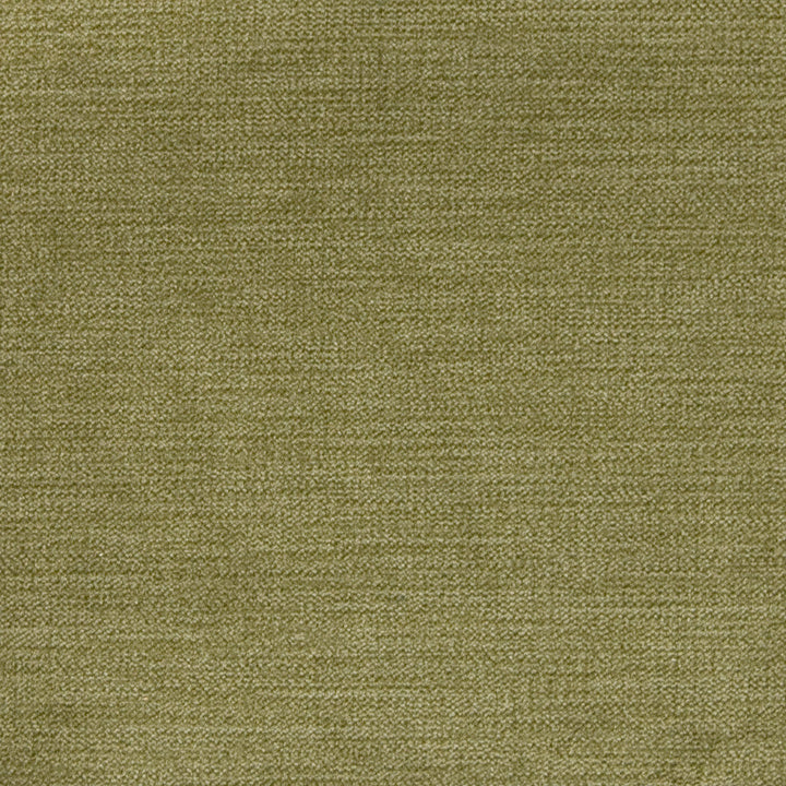 A8301 Sage by Greenhouse Designer Fabric 90% Polyester, 10% Nylon China 100,000 double rubs </p><p>Repeat: None 58" - Swanky Fabrics -
