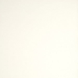 A9201 White by Greenhouse Fabric