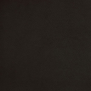 A9212 Black by Greenhouse Fabric
