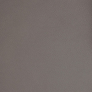 A9220 Steel by Greenhouse Fabric