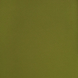 A9223 Sprig by Greenhouse Fabric