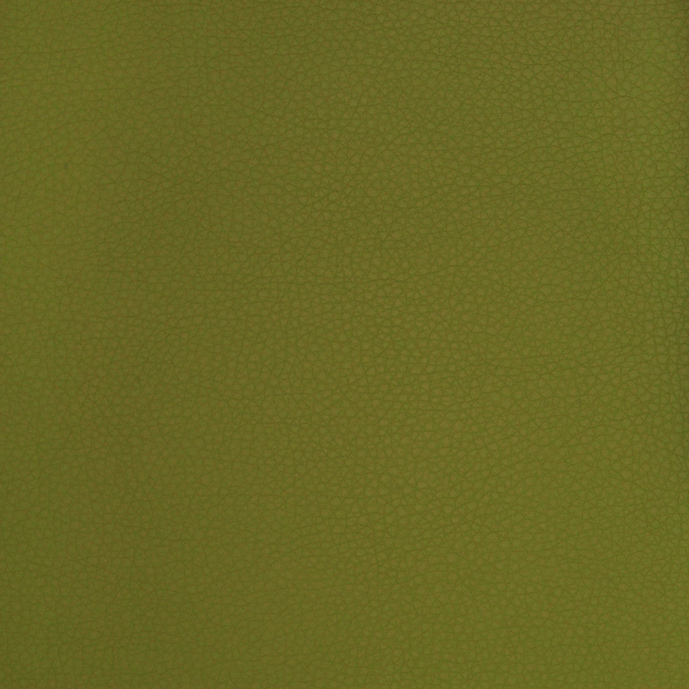 A9223 Sprig by Greenhouse Fabric E65: Vinyl Contents: 100% Polyurethane, Backing: 70% Polyester, 30% Cotton China 500,000 double rubs </p><p>Repeat: ND 54" - Fabric Carolina -