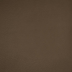 A9249 Green Tea by Greenhouse Fabric
