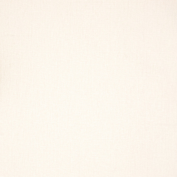 A9350 White by Greenhouse Fabric 100% Polyester India 102,000 double rubs </p><p>Repeat: None 54" - Fabric Carolina -