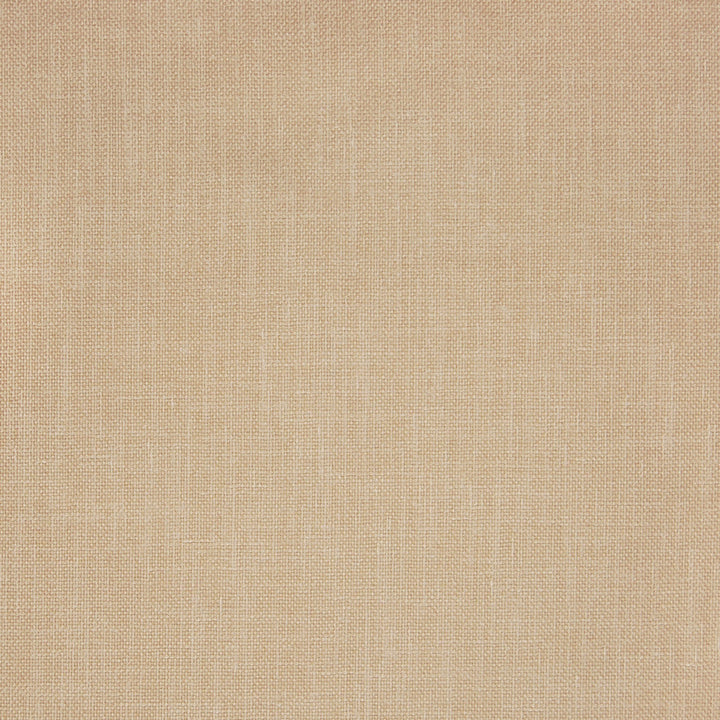 A9564 Chino by Greenhouse Fabric 100% Polyester India 50,000 double rubs </p><p>Repeat: None 56" - Fabric Carolina -