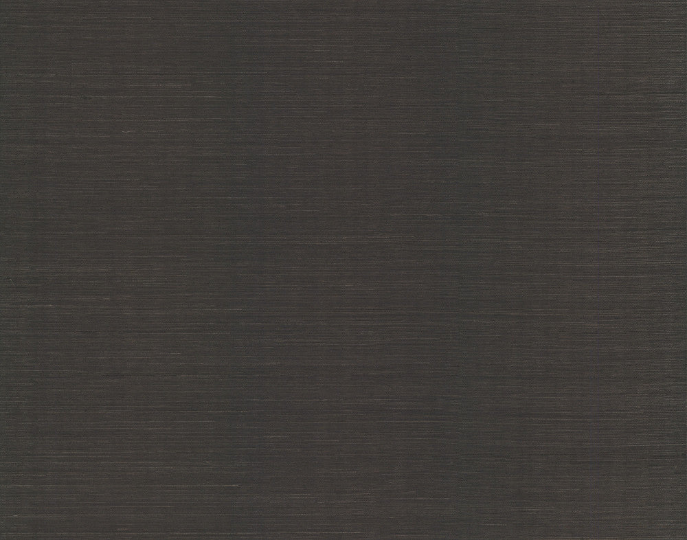 Plain Sisal Grasscloth Black Wallpaper by Candice Olson Candice Olson Natural Splendor Covers about 72 square feet 36-in by 24-ft long roll Unpasted 0 - Fabric Carolina -
