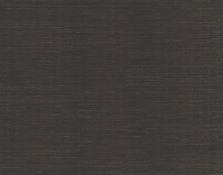 Plain Sisal Grasscloth Black Wallpaper by Candice Olson Candice Olson Natural Splendor Covers about 72 square feet 36-in by 24-ft long roll Unpasted 0 - Fabric Carolina -