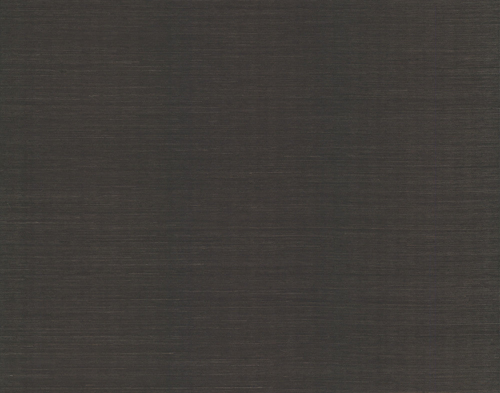 Sisal Grasscloth Black Wallpaper by York Wallcoverings Blooms Covers about 72 square feet 36-in by 24-ft long roll Unpasted 0 - Fabric Carolina -