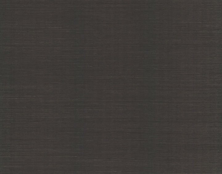 Sisal Grasscloth Black Wallpaper by York Wallcoverings Blooms Covers about 72 square feet 36-in by 24-ft long roll Unpasted 0 - Fabric Carolina -