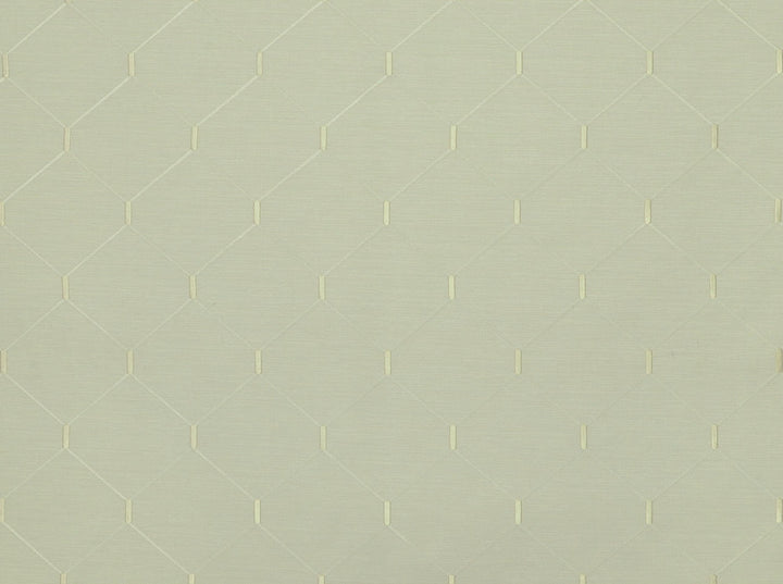 Abaca 130 White by Covington Fabric 66% POLYESTER, 34% COTTON, EMB-100% VISCOSE India 36000 Horizontal: 6.375 and Vertical: 6.375 56.5 - Fabric Carolina -