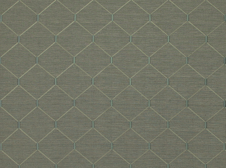 Abaca 915 Urban Grey by Covington Fabric 66% POLYESTER, 34% COTTON, EMB-100% VISCOSE India 36000 Horizontal: 6.375 and Vertical: 6.375 56.5 - Fabric Carolina -