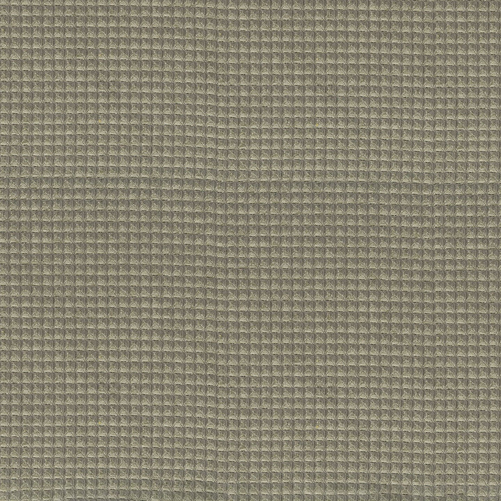Abaco 205 Sage by ABBEYSHEA Designer Fabric N/A 100% Polyester CN 100,000 Double Rubs (Wyzenbeek) </p><p>Repeat: Horizontal: and Vertical: 56 in. (142 cm) - Swanky Fabrics -