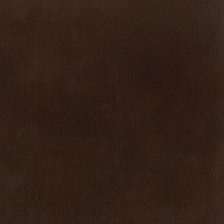 Abbreviate 1 Espresso by Stout Fabric LEATHER LOOKS II 100%OTH 9%OTH CHINA FLAME RETARDANT-U.F.A.C. CLASS 1 FLAME RETARDANT-N.F.P.A. 260A CLASS 1 CATB 117-2013 WYZENBEEK 100 000 DOUBLE RUB WEAR TEST (HEAVY DUTY) Horizontal: 0 and Vertical: 0 54 in - Fabric Carolina -