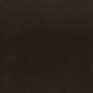 Abbreviate 2 Coffee by Stout Fabric