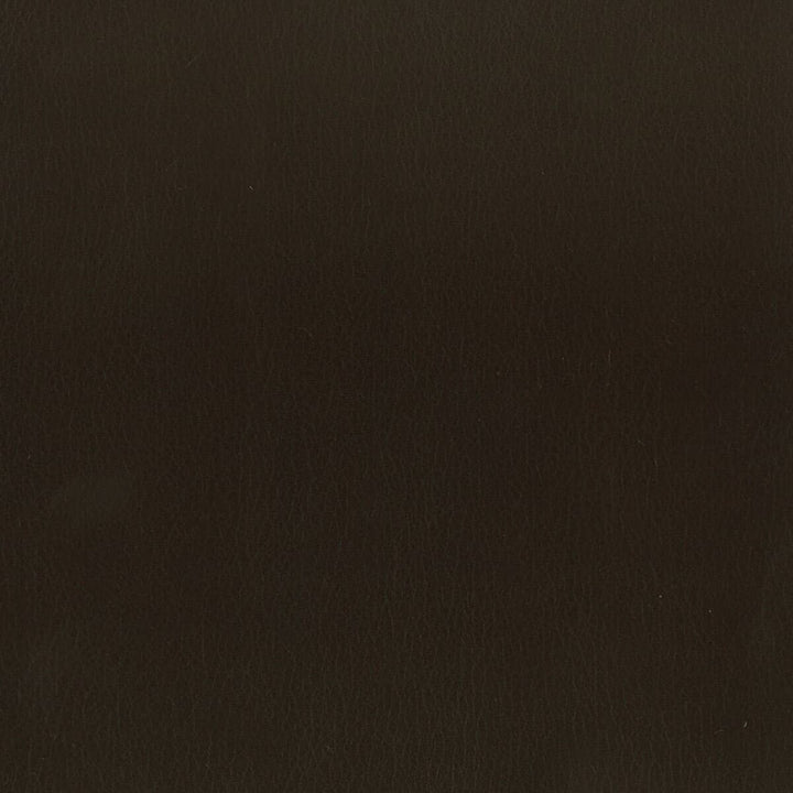 Abbreviate 2 Coffee by Stout Fabric LEATHER LOOKS II 100%OTH 9%OTH CHINA FLAME RETARDANT-U.F.A.C. CLASS 1 FLAME RETARDANT-N.F.P.A. 260A CLASS 1 CATB 117-2013 WYZENBEEK 100 000 DOUBLE RUB WEAR TEST (HEAVY DUTY) </p><p>Repeat: 0 54 in - Fabric Carolina -