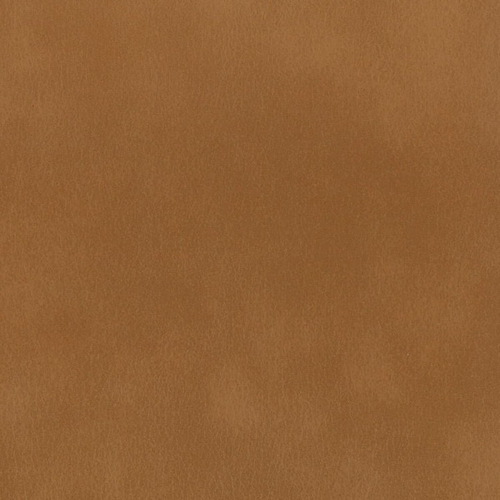 Abbreviate 4 Cognac by Stout Fabric LEATHER LOOKS II 100%OTH 9%OTH CHINA FLAME RETARDANT-U.F.A.C. CLASS 1 FLAME RETARDANT-N.F.P.A. 260A CLASS 1 CATB 117-2013 WYZENBEEK 100 000 DOUBLE RUB WEAR TEST (HEAVY DUTY) </p><p>Repeat: 0 54 in - Fabric Carolina -