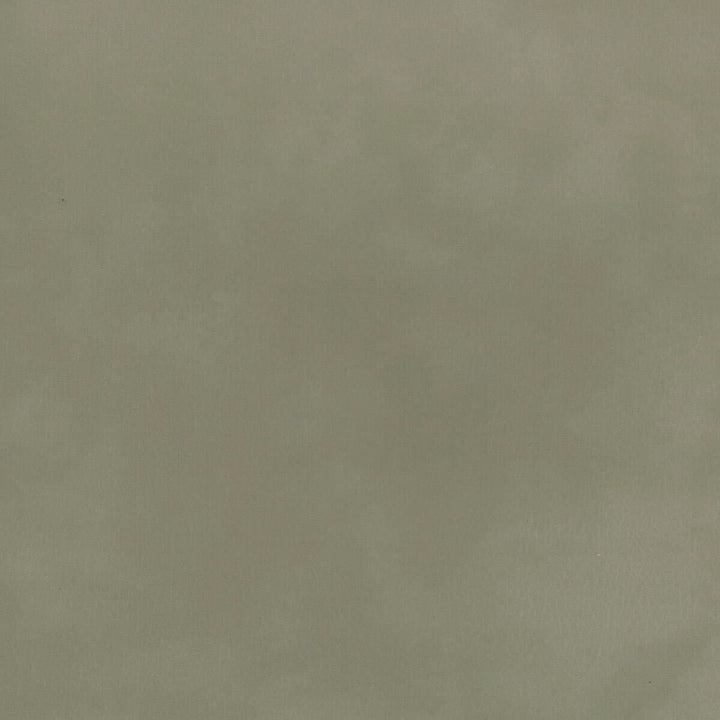 Abbreviate 5 Smoke by Stout Fabric LEATHER LOOKS II 100%OTH 9%OTH CHINA FLAME RETARDANT-U.F.A.C. CLASS 1 FLAME RETARDANT-N.F.P.A. 260A CLASS 1 CATB 117-2013 WYZENBEEK 100 000 DOUBLE RUB WEAR TEST (HEAVY DUTY) </p><p>Repeat: 0 54 in - Fabric Carolina -